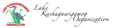 Lake Kashagawigamog Organization.