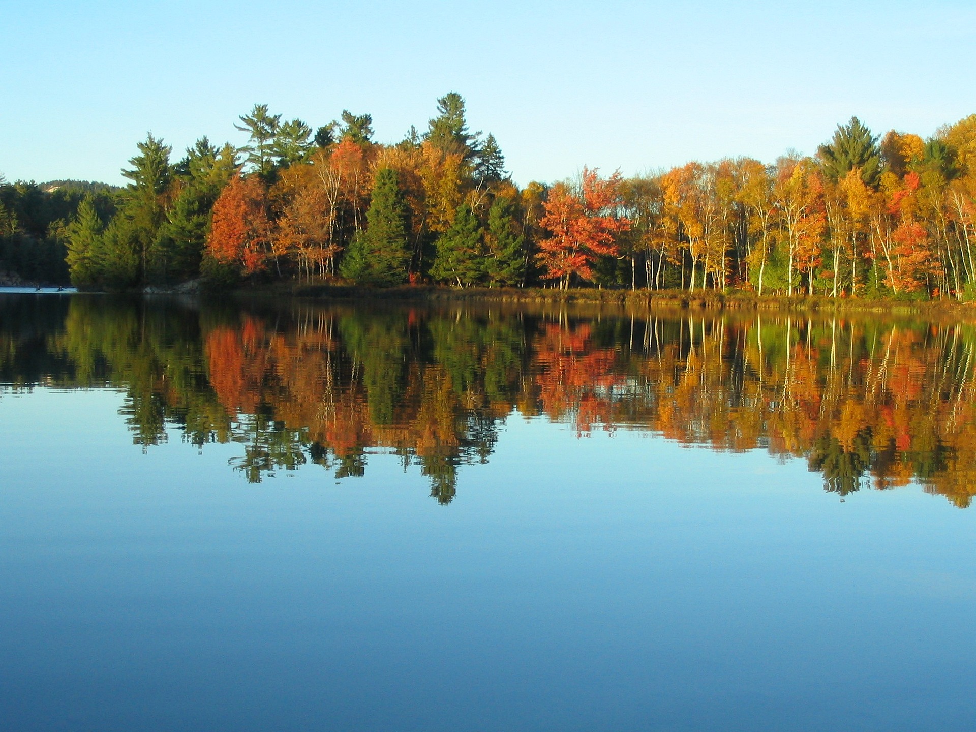 Lake Kashagawigamog fall colours