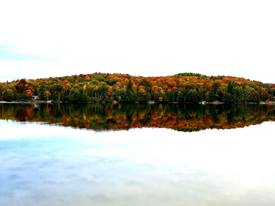 Lake Kashagawigamog Organization